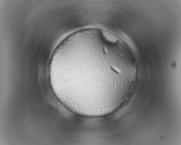 X0000091341292200709071210