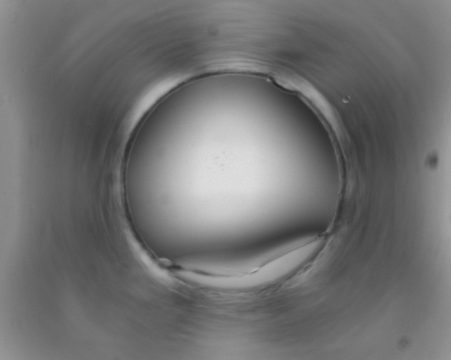 X0000091341293200709071210