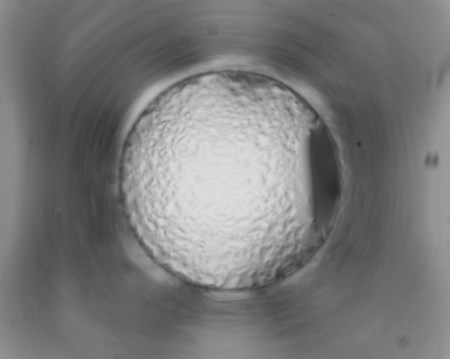 X0000091341296200709071210