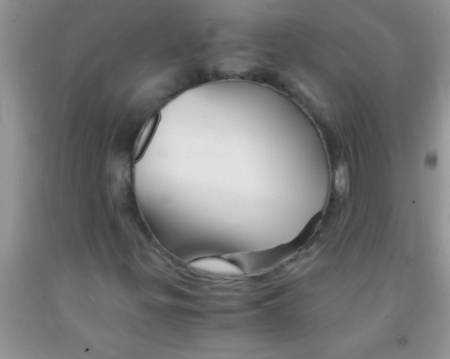 X0000091341299200709071210