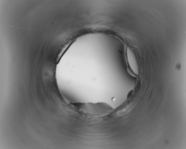 X0000091341300200709071210