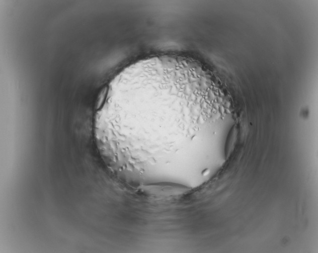 X0000091341301200709071210