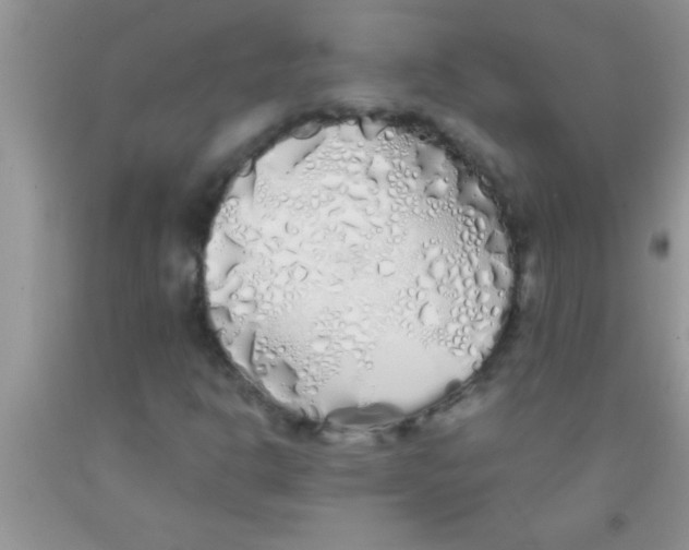 X0000091341302200709071210