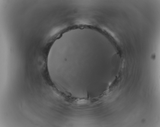 X0000091341303200709071210