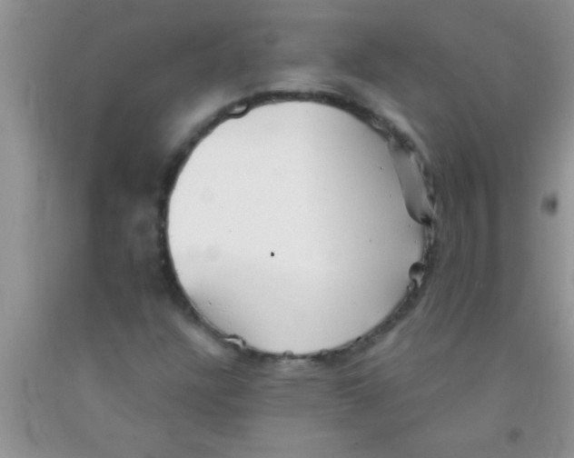 X0000091341304200709071210