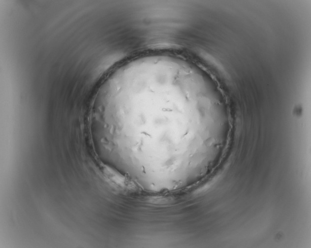 X0000091341305200709071210