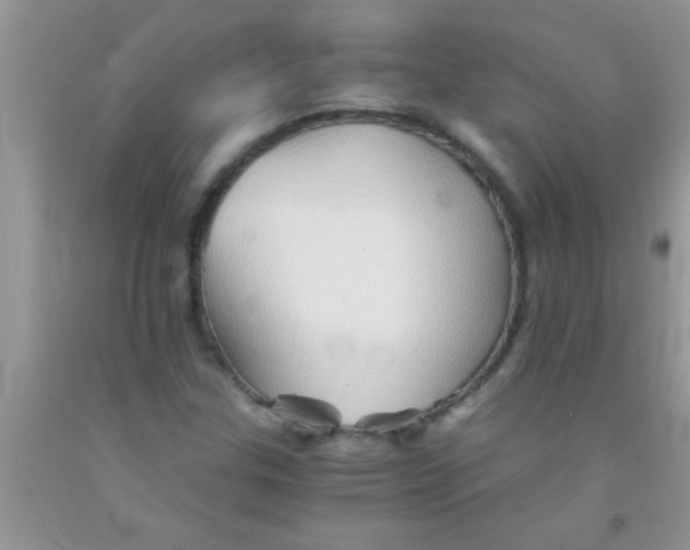 X0000091341307200709071210