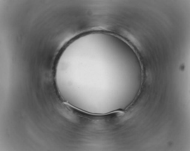 X0000091341308200709071210