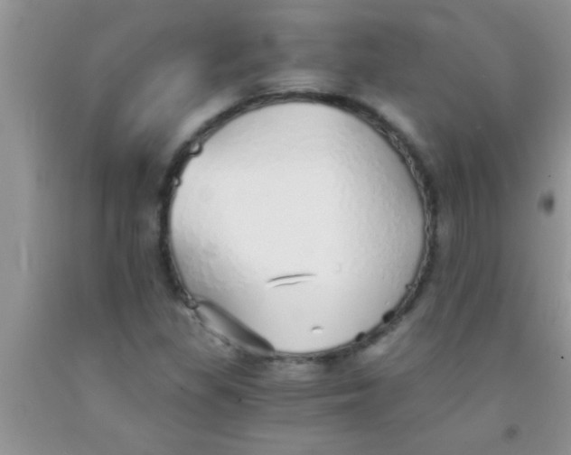 X0000091341309200709071210