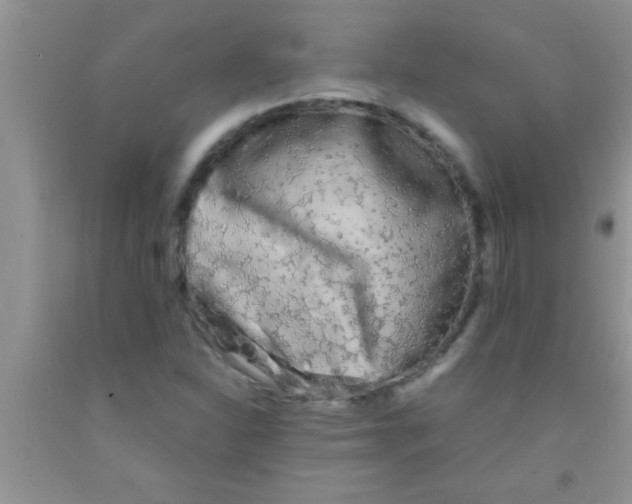 X0000091341310200709071210