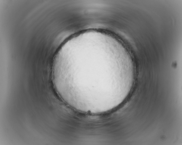 X0000091341313200709071210