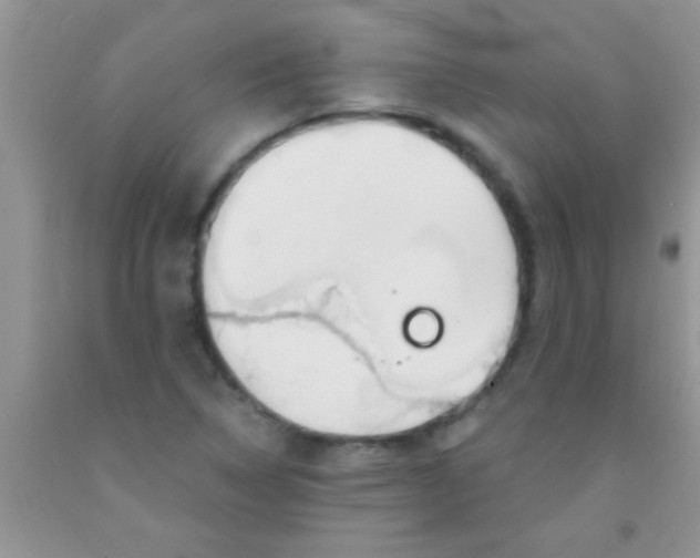 X0000091341314200709071210