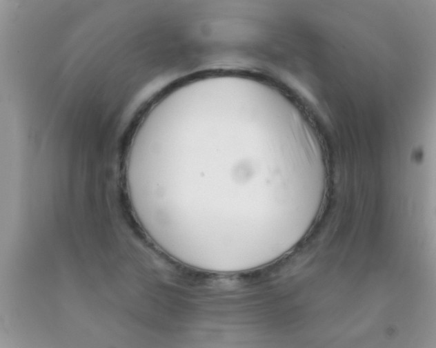 X0000091341315200709071210