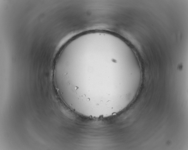 X0000091341316200709071210