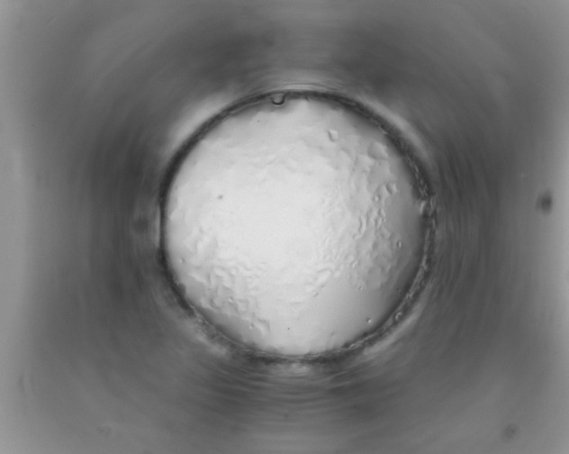 X0000091341317200709071210