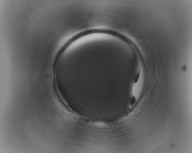 X0000091341319200709071210