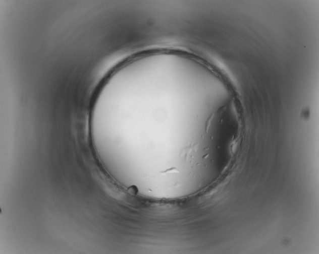 X0000091341320200709071210