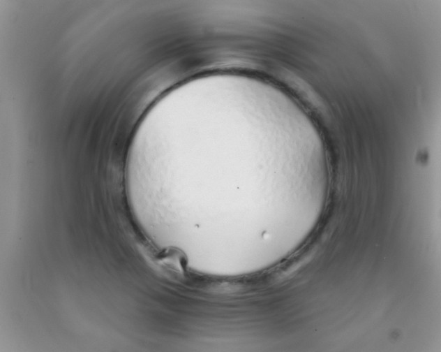 X0000091341321200709071210