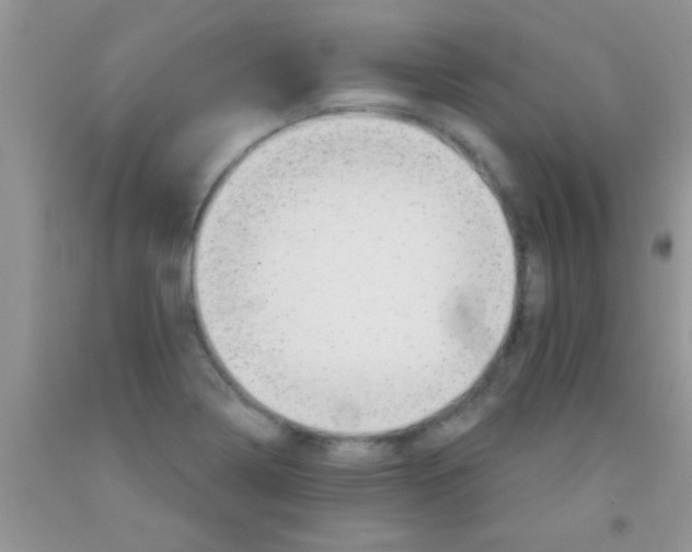 X0000091341322200709071210