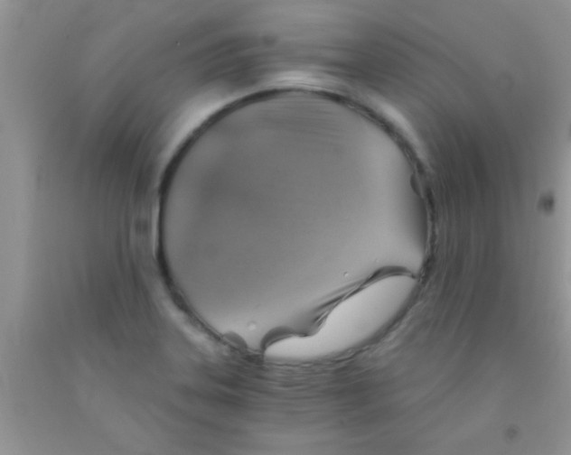 X0000091341323200709071210