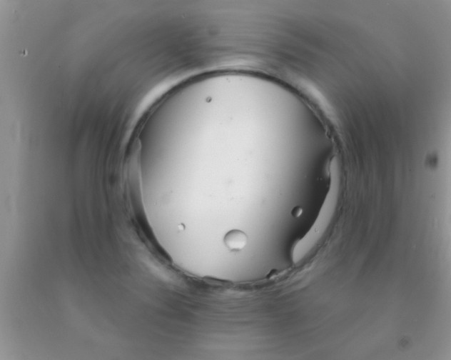 X0000091341324200709071210