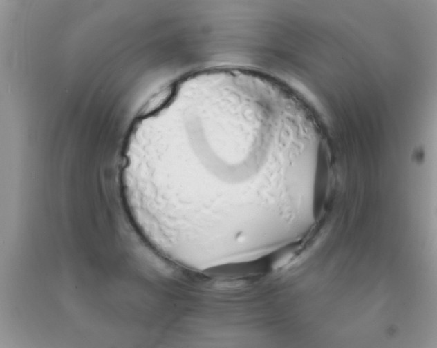 X0000091341325200709071210