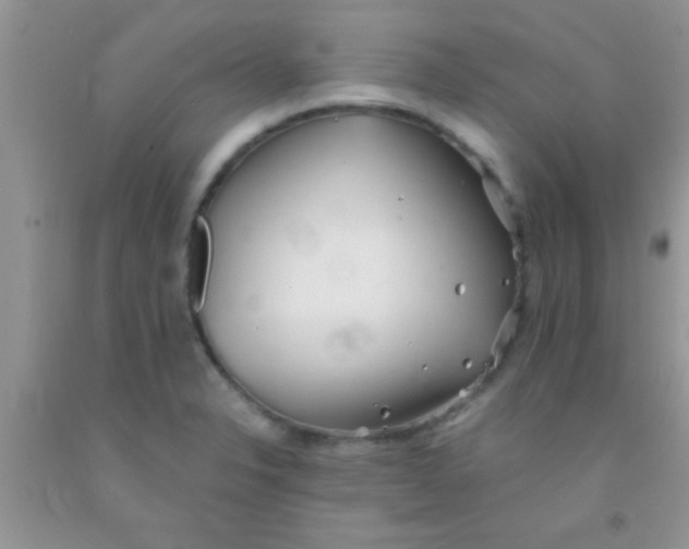 X0000091341326200709071210