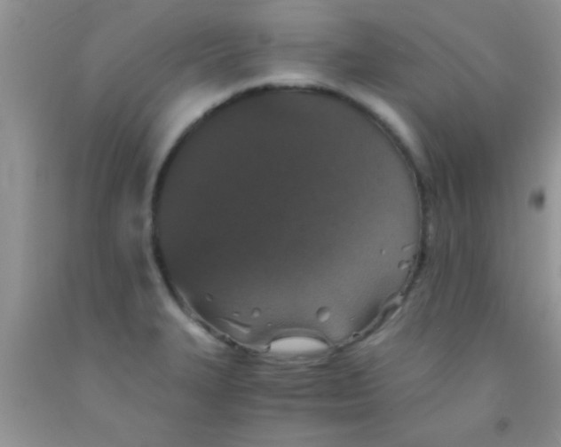 X0000091341327200709071210