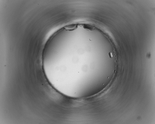 X0000091341328200709071210