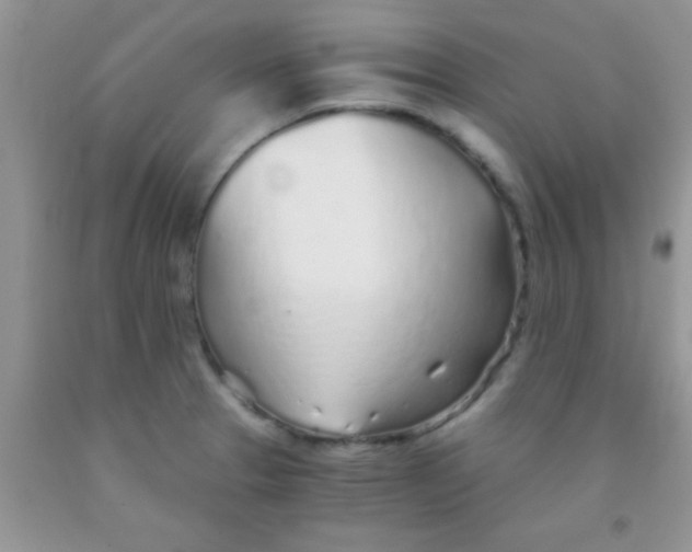 X0000091341329200709071210