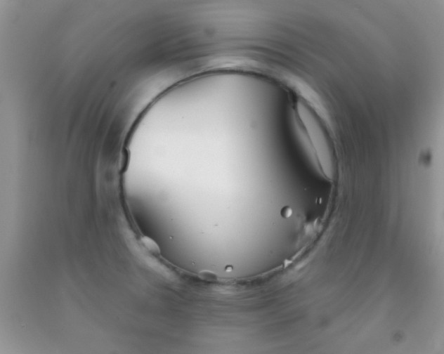 X0000091341330200709071210