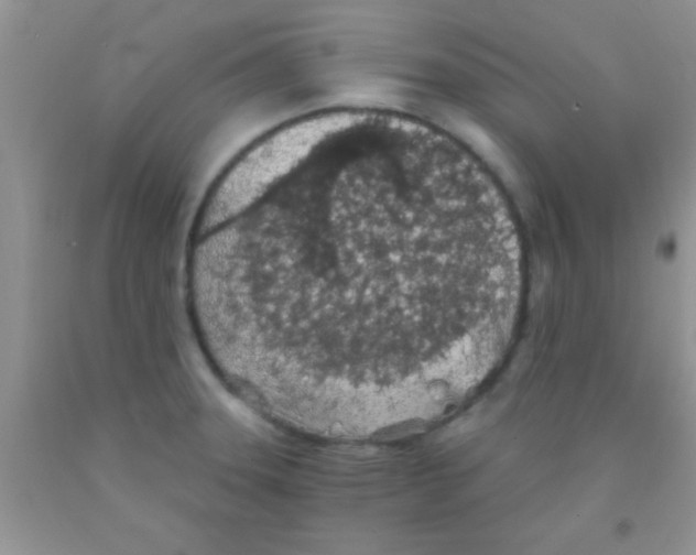 X0000091341331200709071210