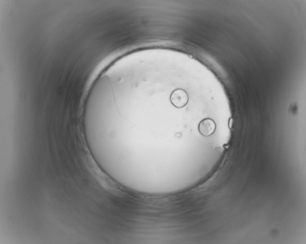 X0000091341332200709071210