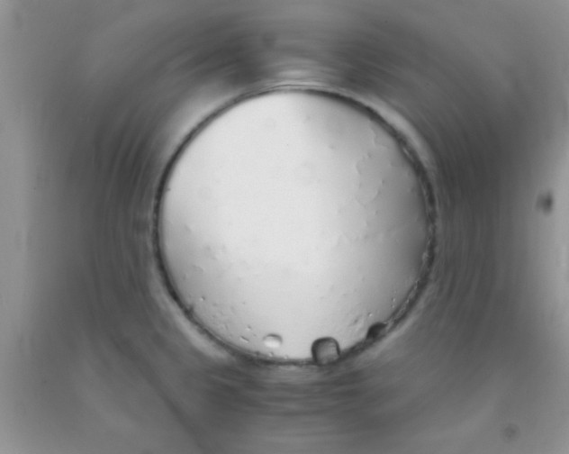 X0000091341333200709071210