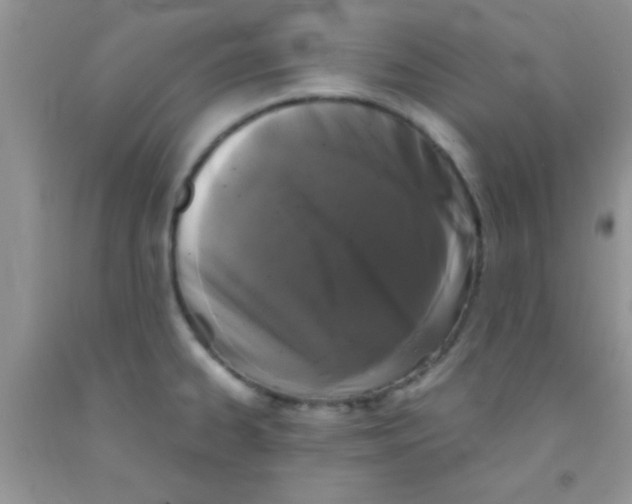 X0000091341334200709071210