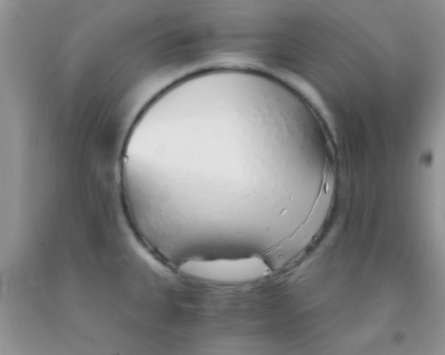 X0000091341335200709071210