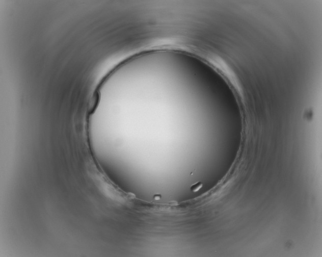 X0000091341336200709071210