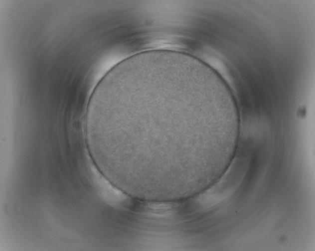 X0000091341338200709071210