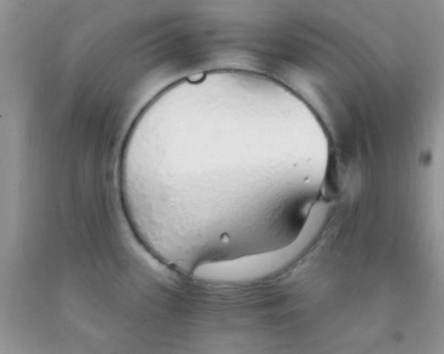 X0000091341339200709071210