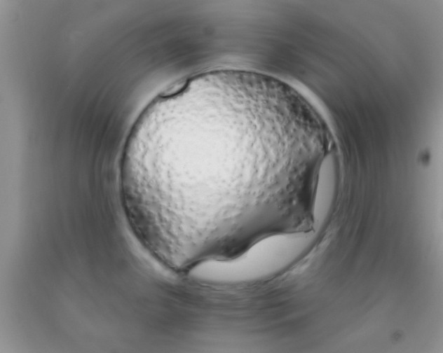 X0000091341341200709071210