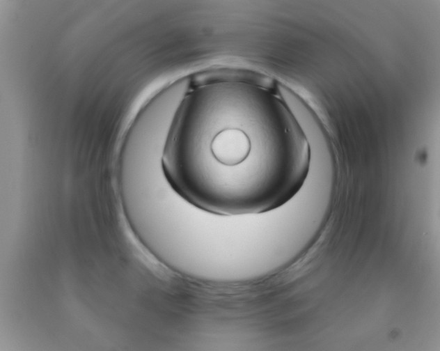 X0000091341342200709071210