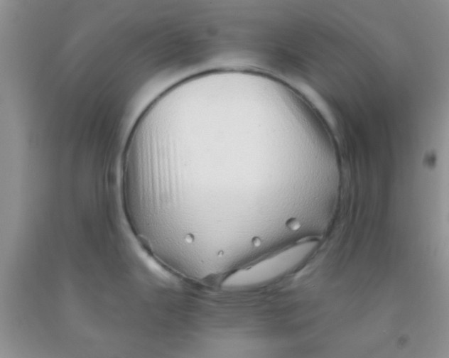 X0000091341343200709071210