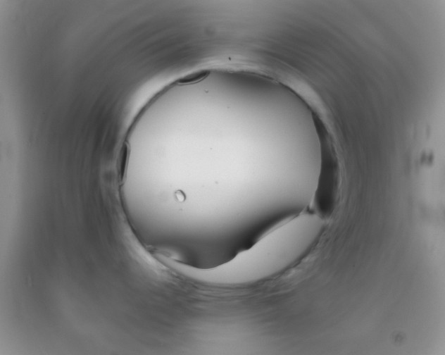 X0000091341344200709071210