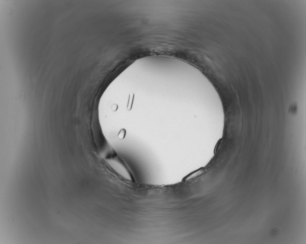 X0000091341345200709071210