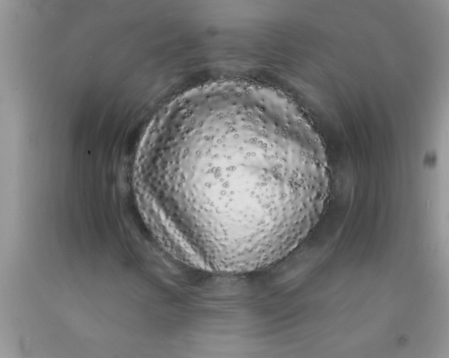 X0000091341346200709071210