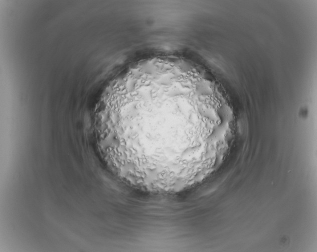 X0000091341347200709071210