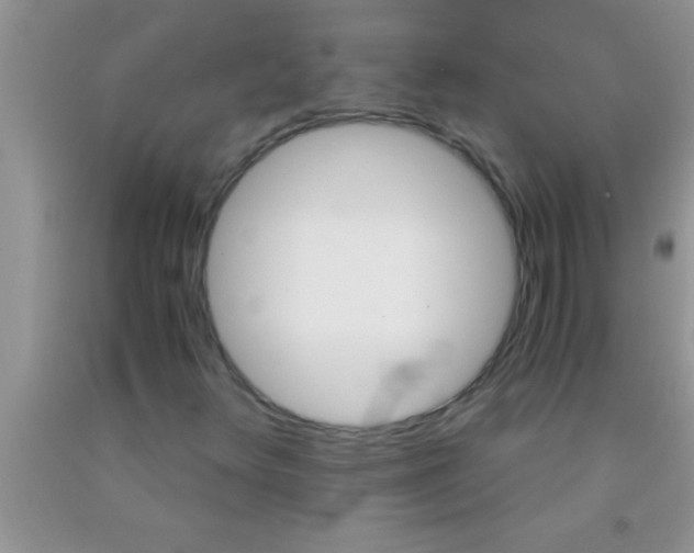 X0000091341348200709071210