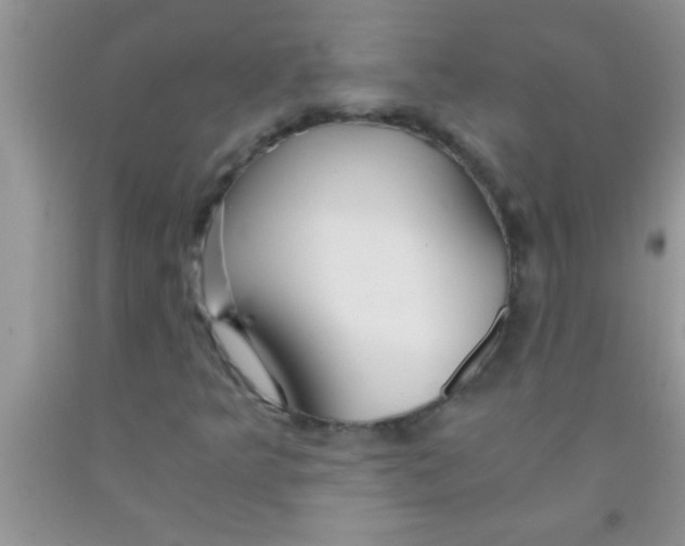 X0000091341349200709071210