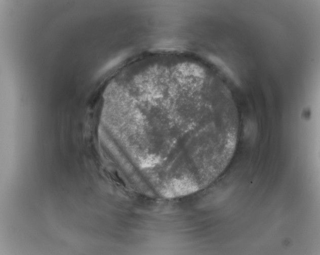 X0000091341350200709071210