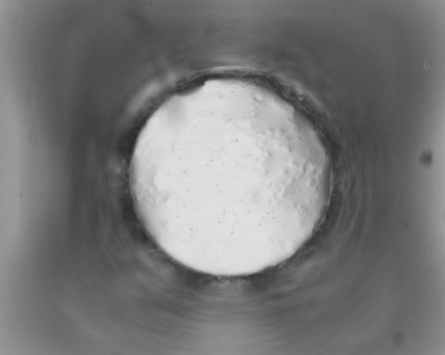 X0000091341351200709071210